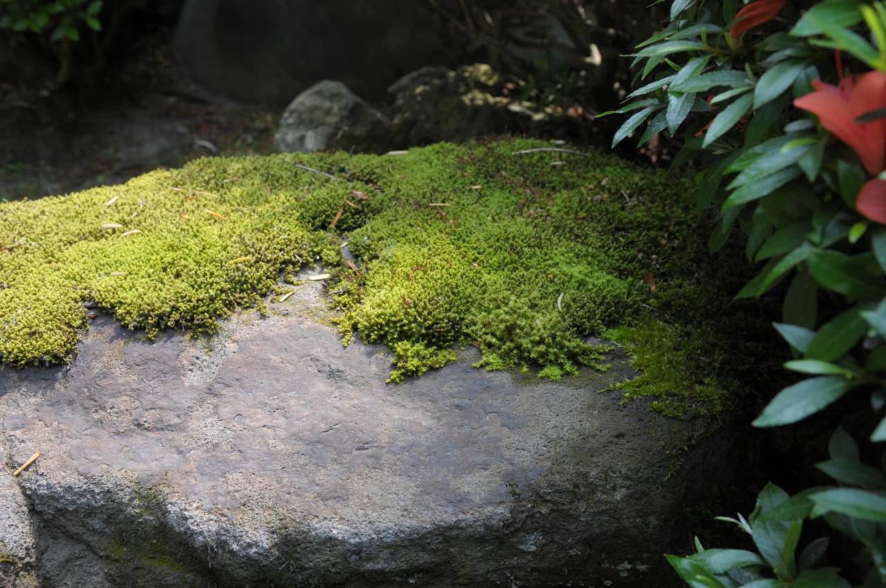 Historical Ryokan Senyukan Owani Exterior foto